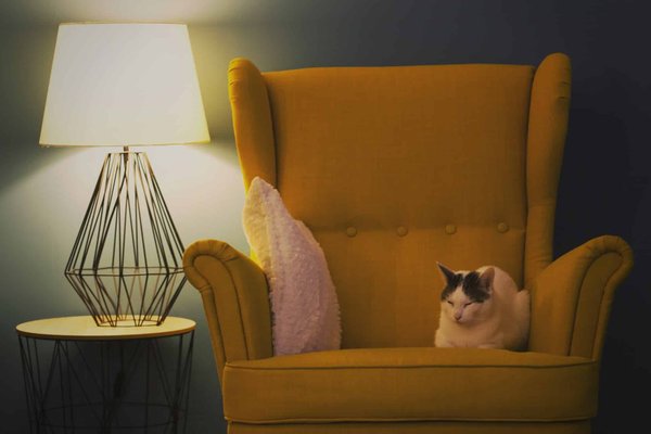Quels sont les meubles iconiques de la décoration scandinave ?