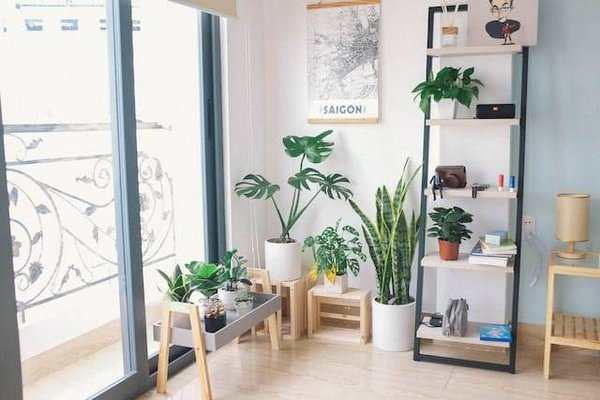 Comment créer une ambiance exotique chez soi ?